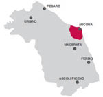Conero