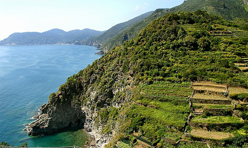 LIGURIA-vigna