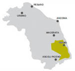 Pecorino