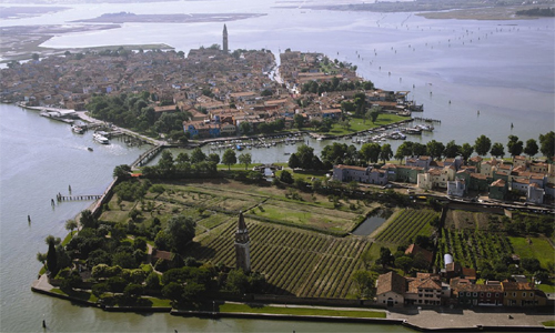 VENETO-vigna.jpg