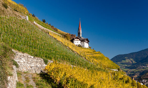 adige-vigna