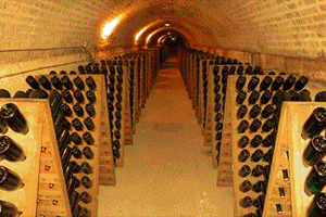 tour_marche.gif