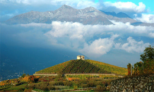 aosta-vigna